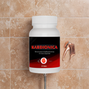 Kardionica