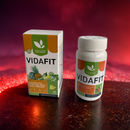 Vidafit