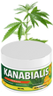 Compre Kanabialis del Fabricante. Precio bajo. Entrega rápida. 100% natural. Complemento bioactivo a base de materias primas naturales altamente efectivas.